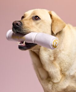 Alternative view of Pawfect Strokes Mascara Dog Toy