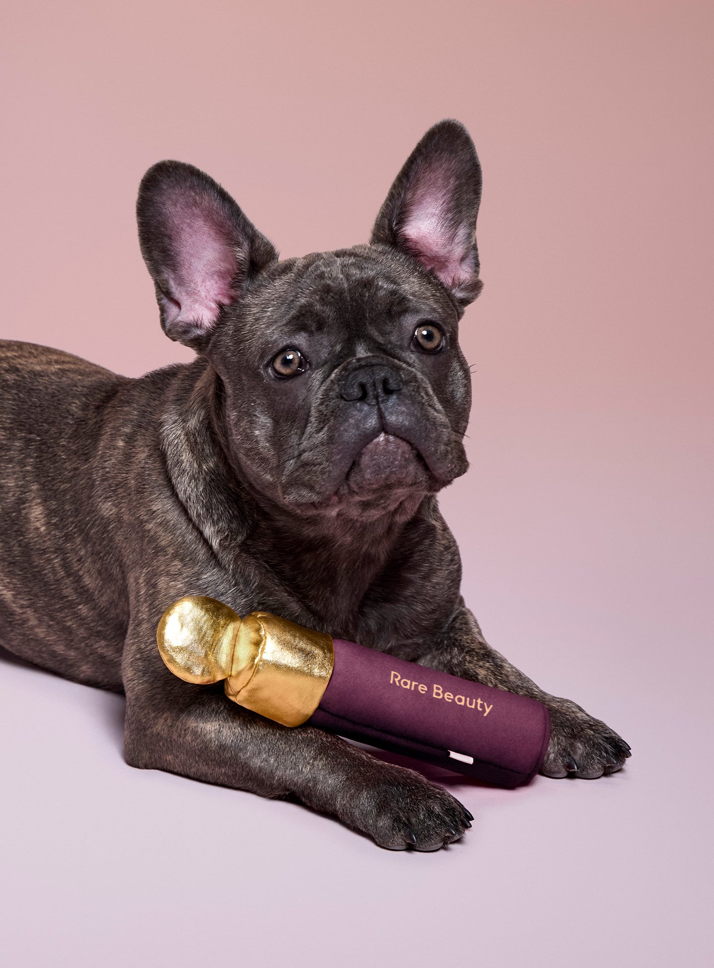 Soft Pooch Blush Dog Toy Faith - Image 5